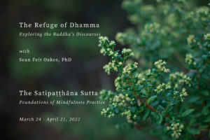 Close up of a dark green bush with text of course title and dates