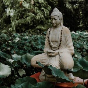Buddhist Psychology Training Integrating Mindfulness, Science, and Clinical Practice | August 2025 (Continuing Education Credits)