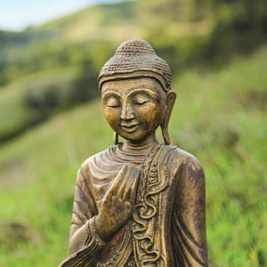 (JB1C26) Equanimity OD Course & Q&A