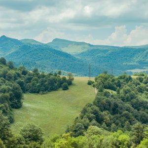 Holding Ground Inner Resilience for Environmental Changemakers