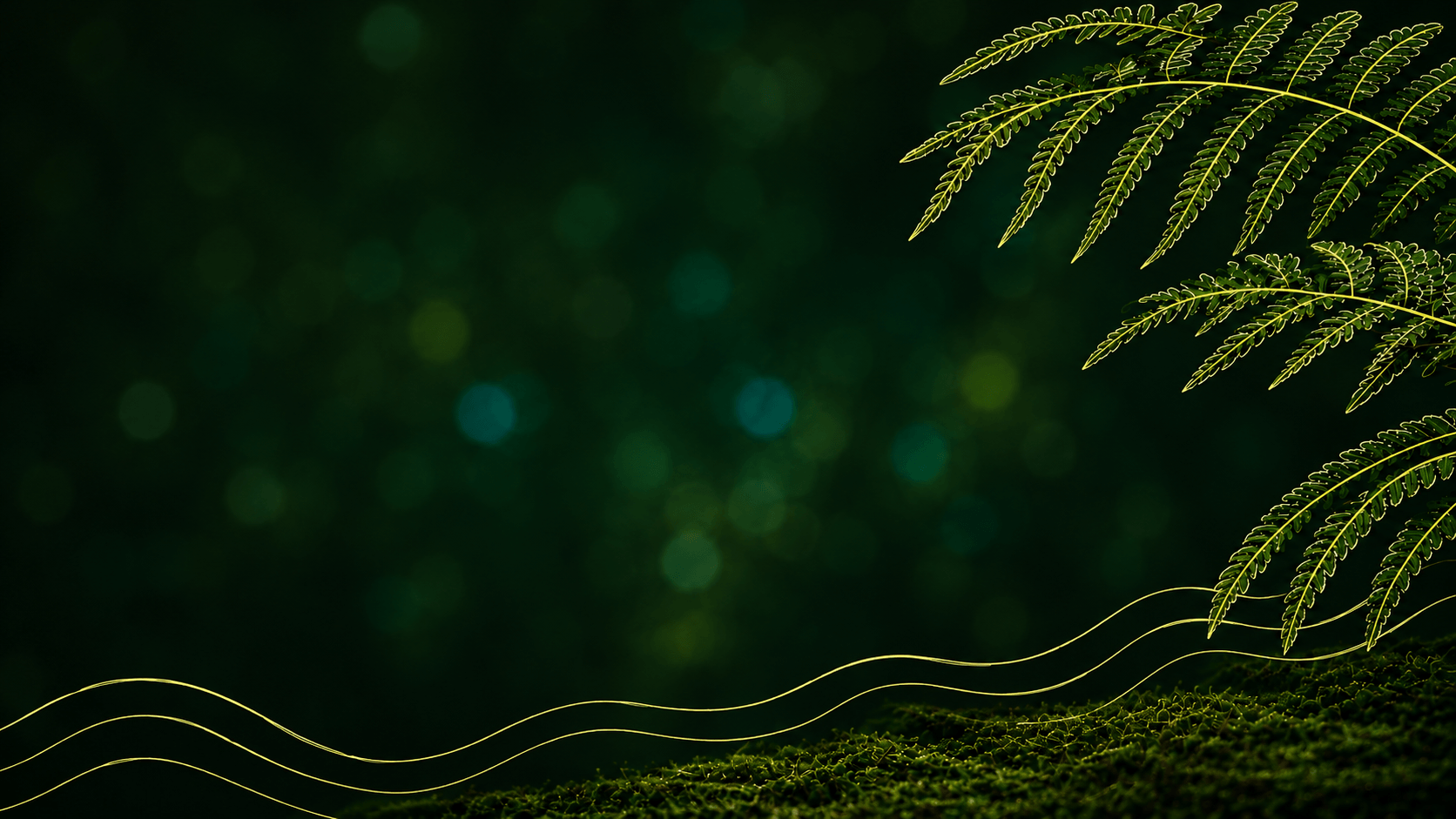 Forest landscape