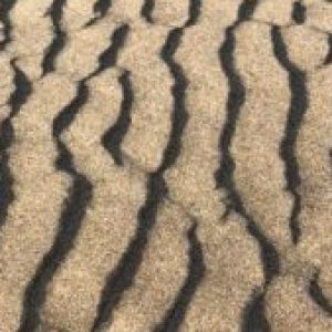 Profile photo of Estee