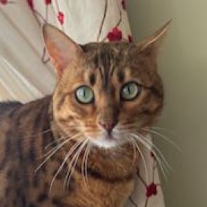 Profile photo of christinehchingmail-com