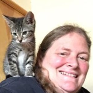 Profile photo of Karen Stephenson