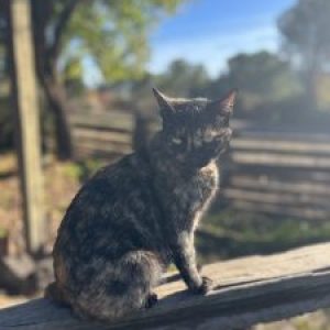 Profile photo of Ray