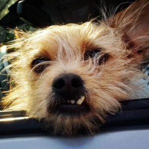 Profile photo of Shannon