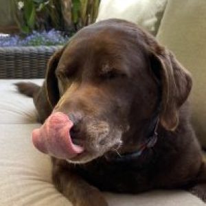 Profile photo of A.C.