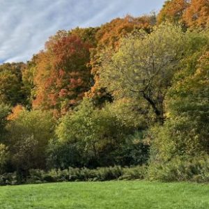 Profile photo of Kendra