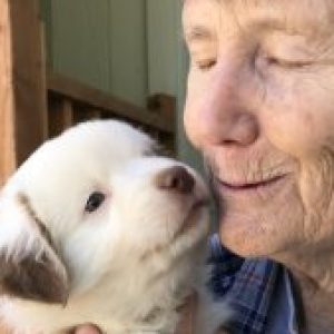 Profile photo of Michele Currie