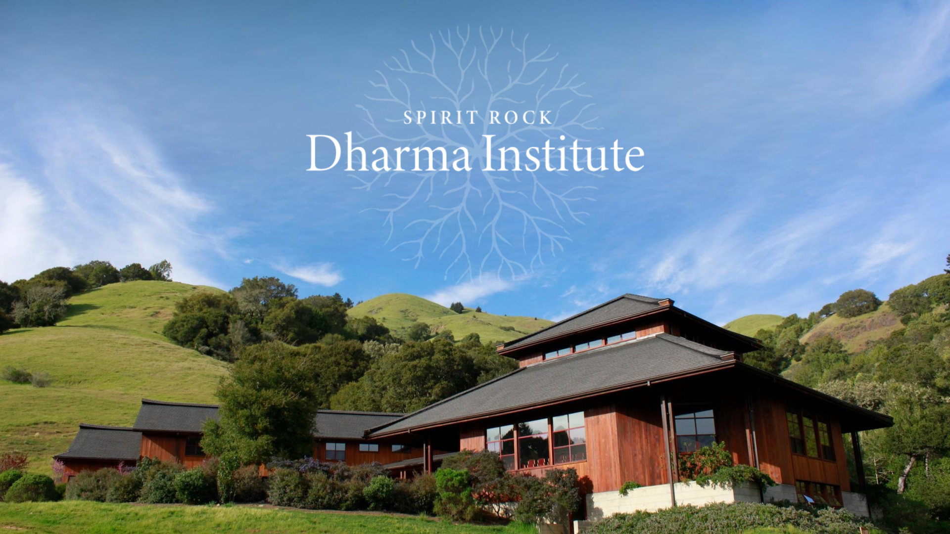 Group cover image
