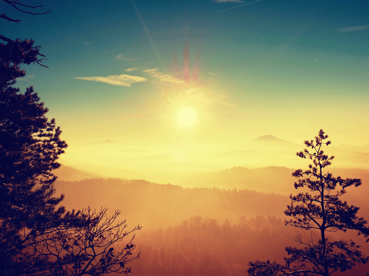 Group cover image