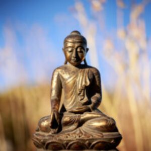 Group logo of Buddhist Psychology Training: Integrating Mindfulness, Science, and Clinical Practice | August 2025
