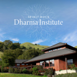 Group logo of Dharma Institute Community Q&R