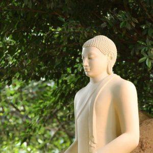 Group logo of Masters Insight Meditation Home Retreat